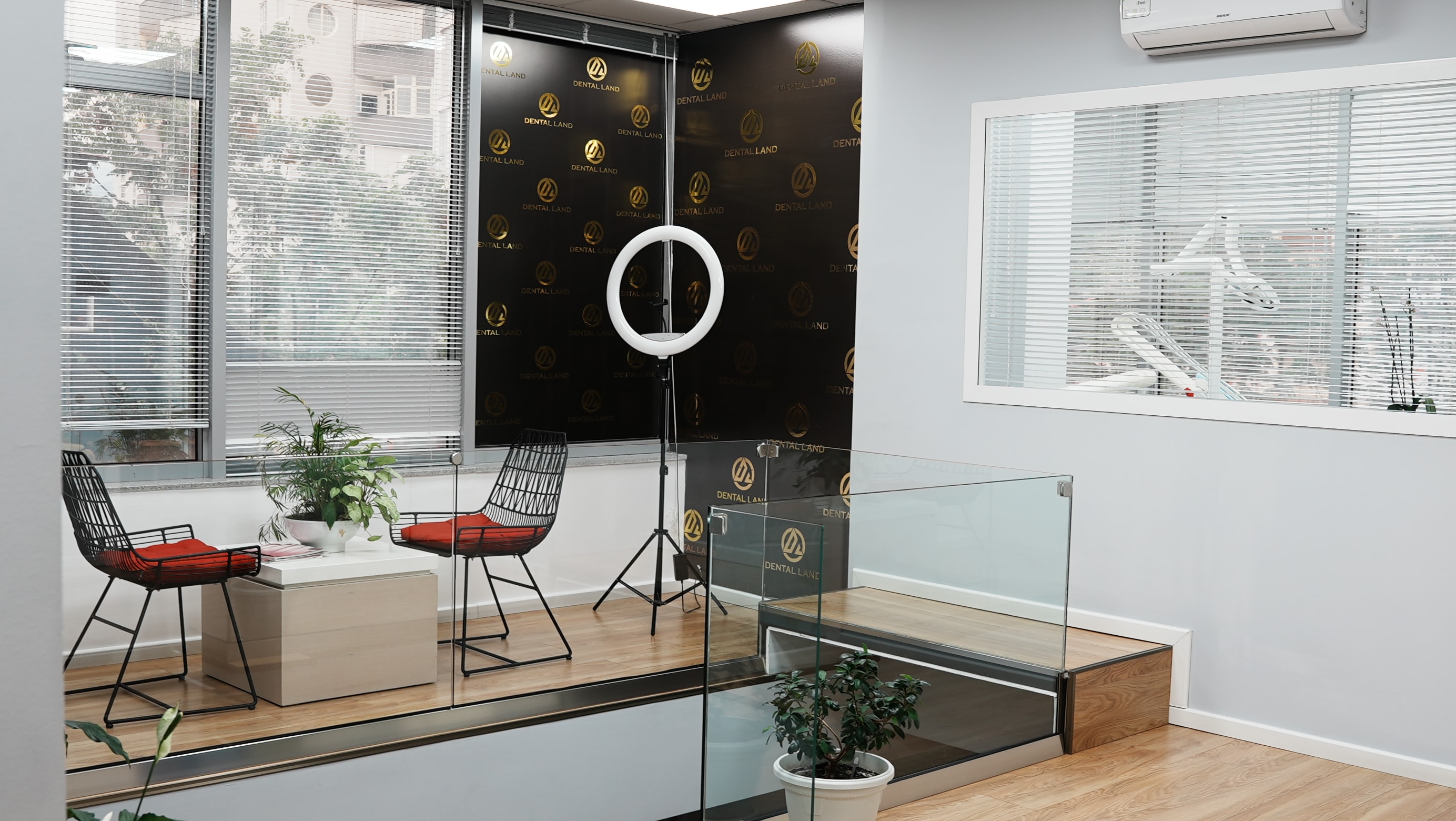 Dental Land — galeria 17