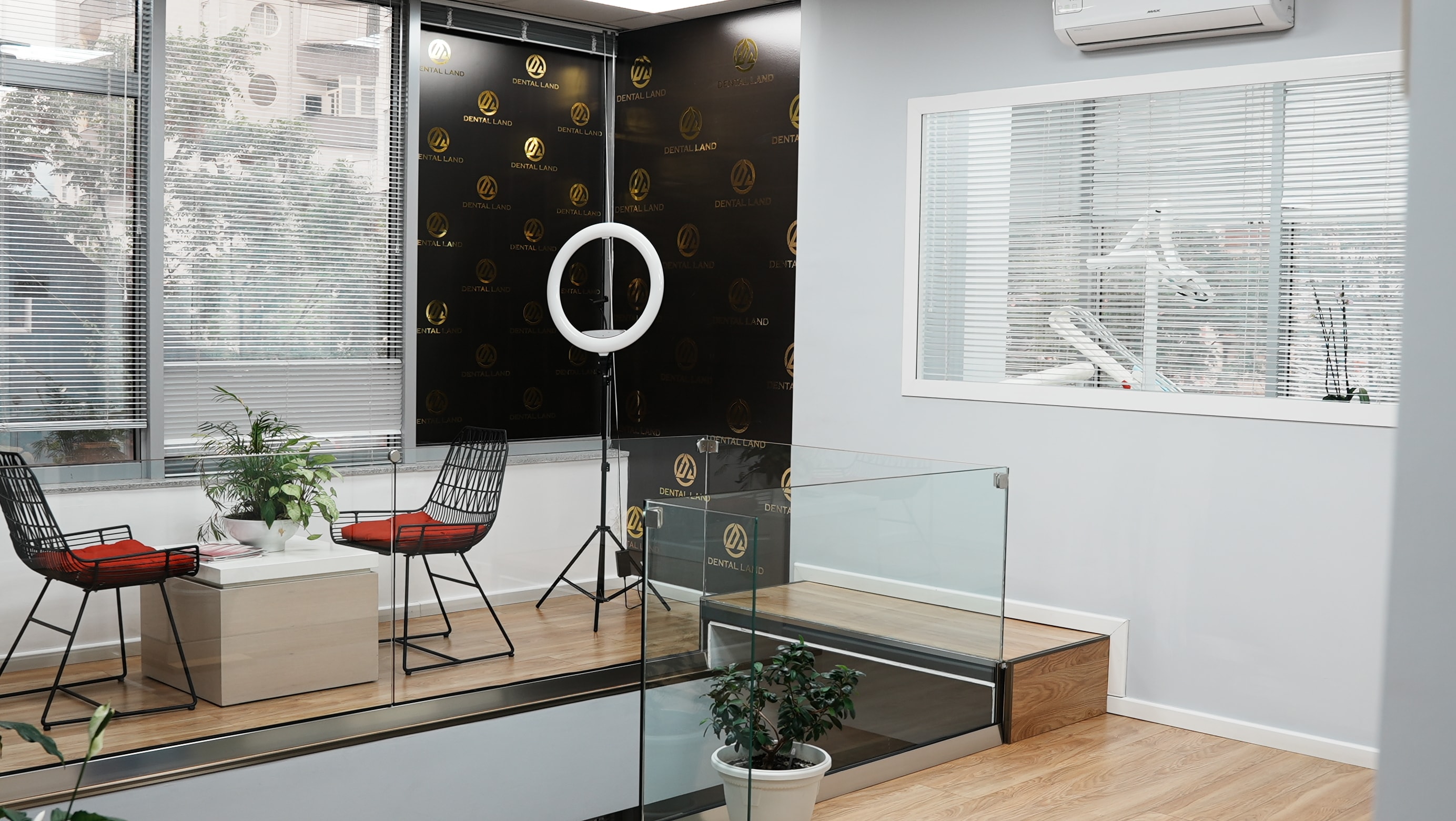 Dental Land — galeria 8